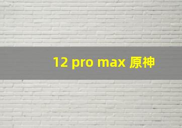 12 pro max 原神